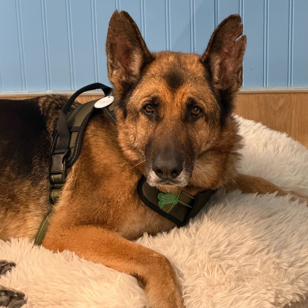 Mario 13839 — thumbnail 3