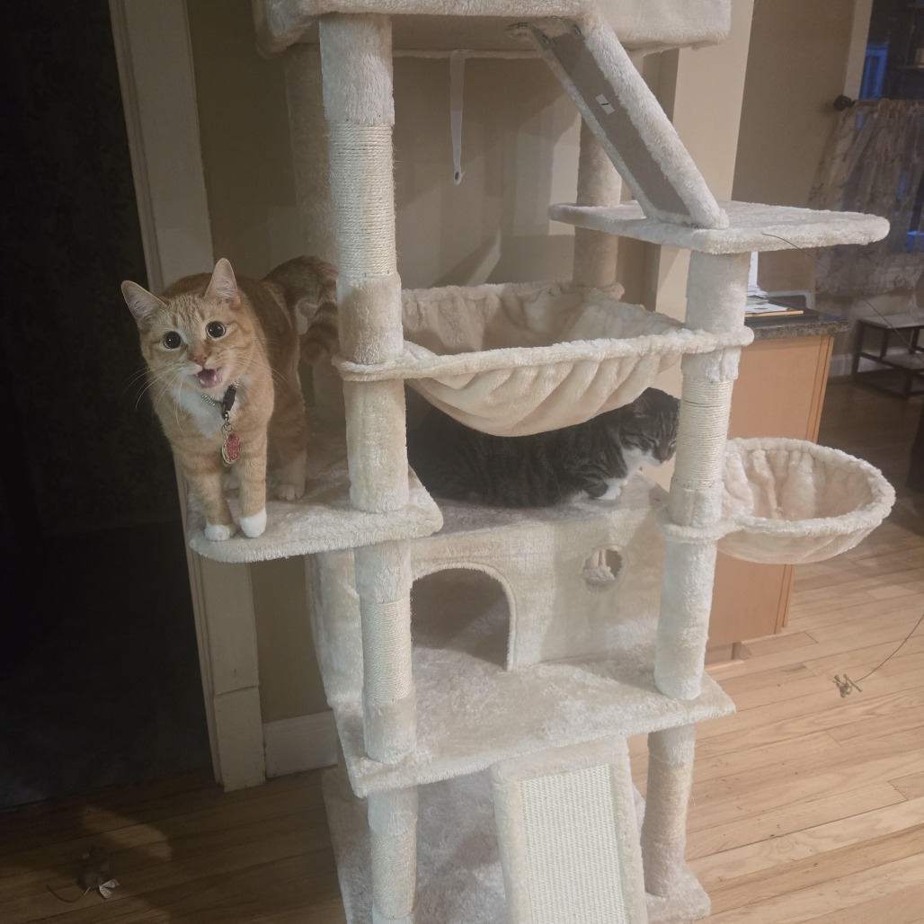 Brad — thumbnail 5