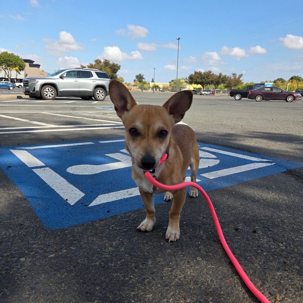 ITTY BITTY — thumbnail 4