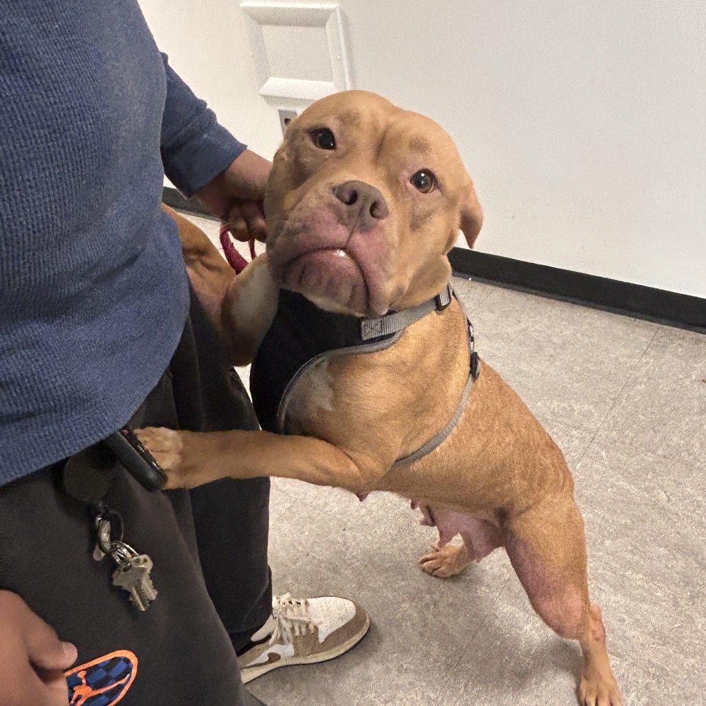 Redd — thumbnail 2