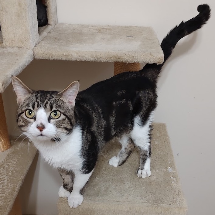 Jerry — thumbnail 4