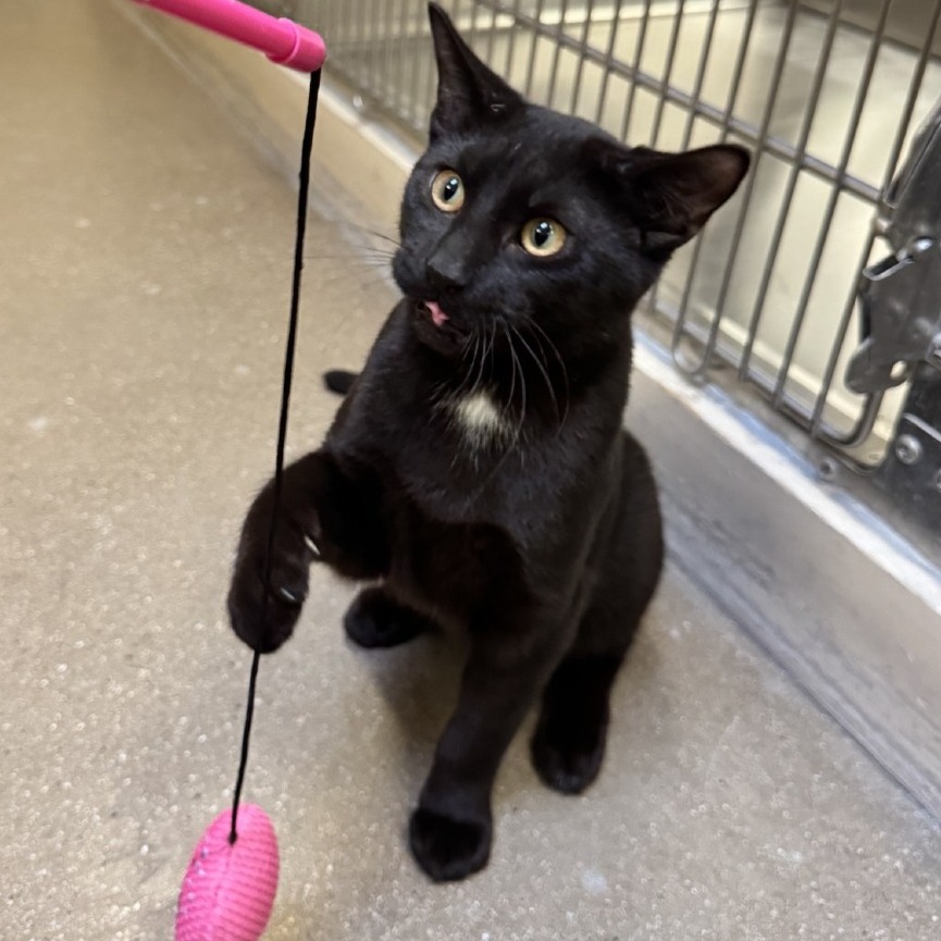 448e2862f15cc7245d9f7a6395361965