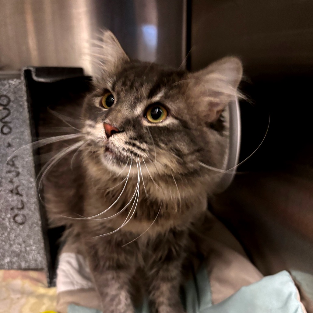 Fred — thumbnail 3