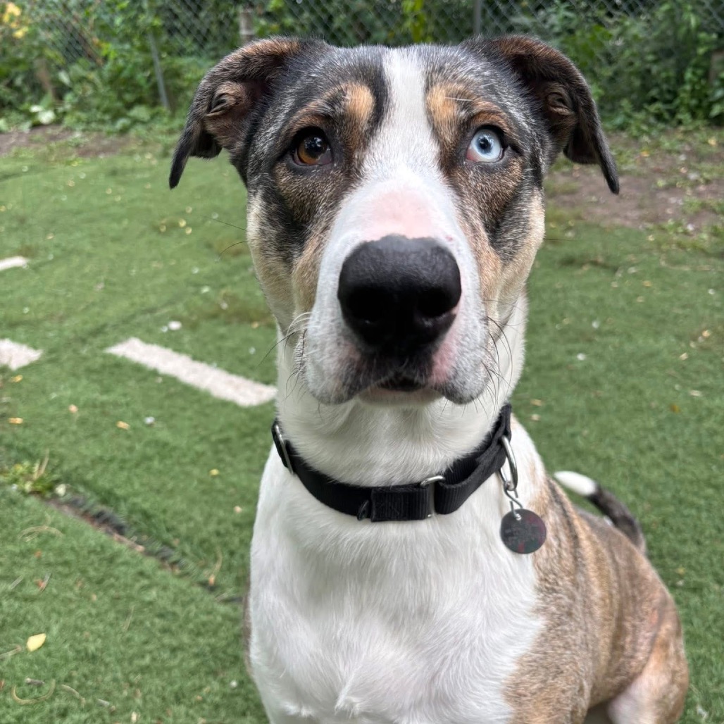 Yuki — thumbnail 5