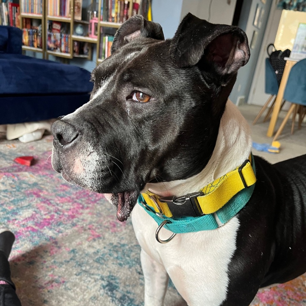 Photo of Zibby 17