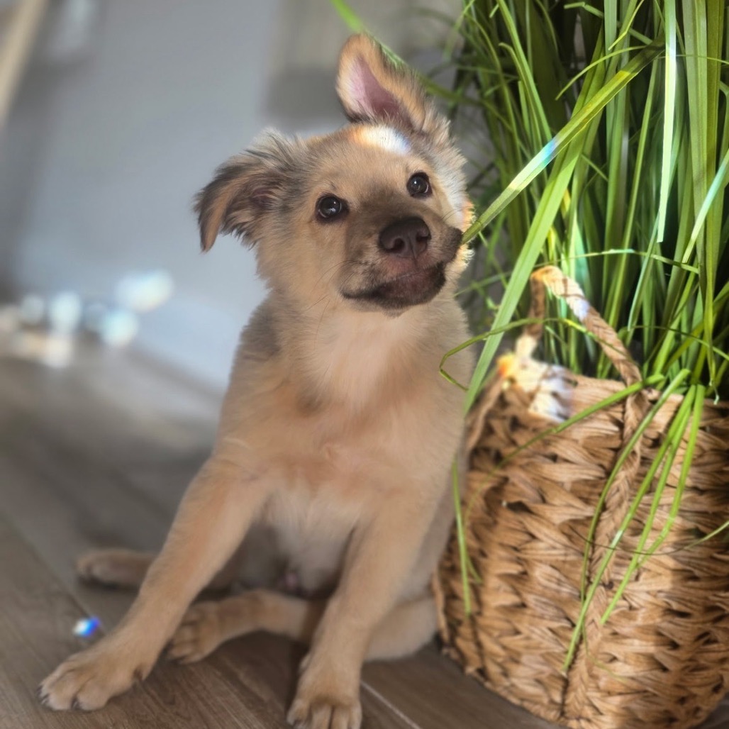 Full body shot of Little Bear