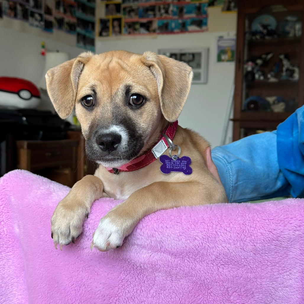 Raylean — thumbnail 2