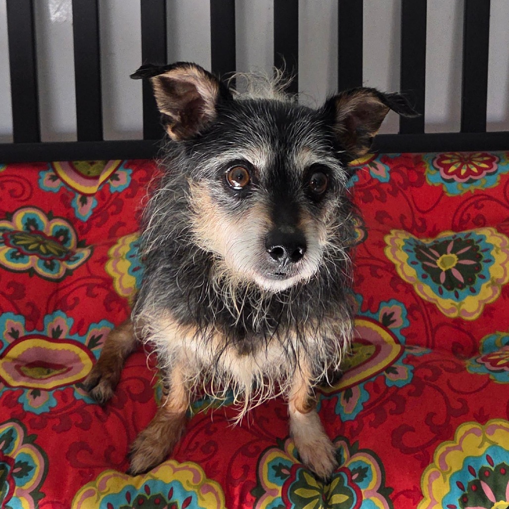 Ronny Roo — thumbnail 4