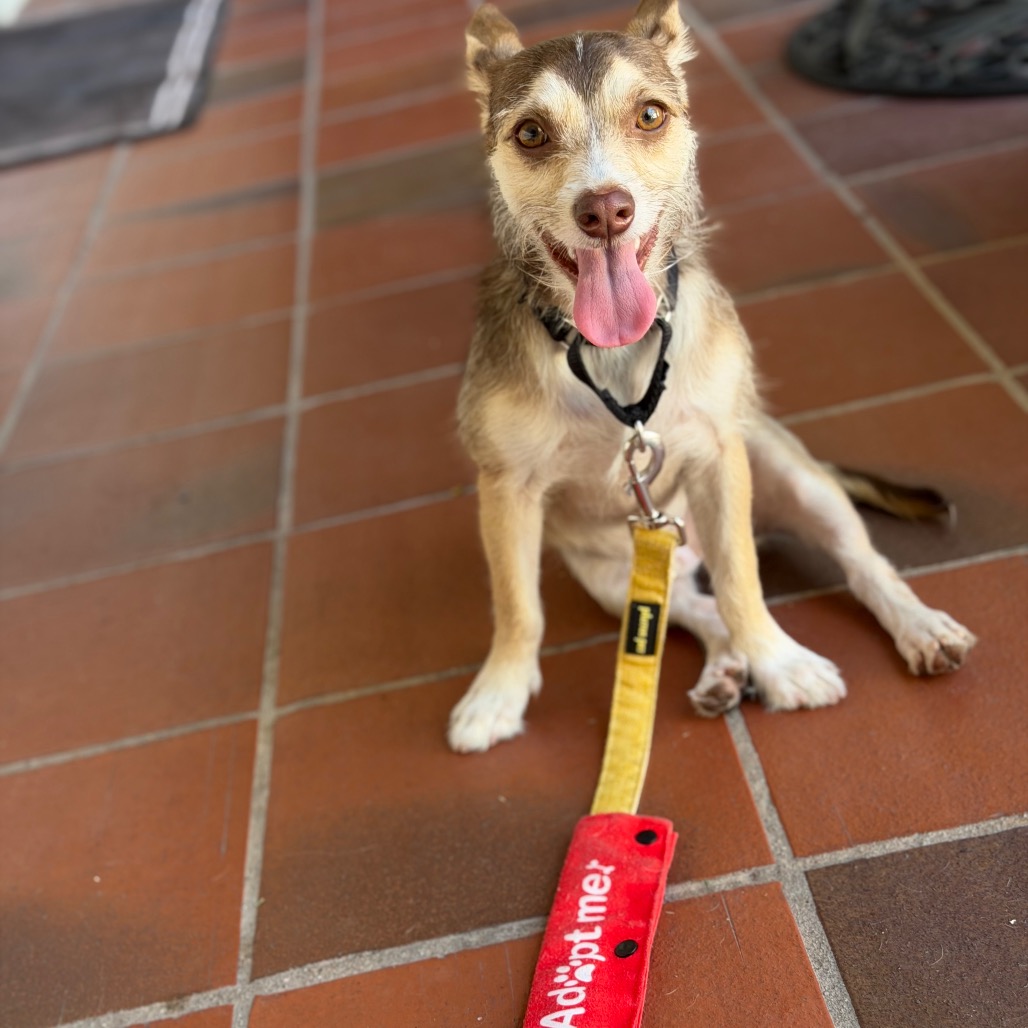 Milo