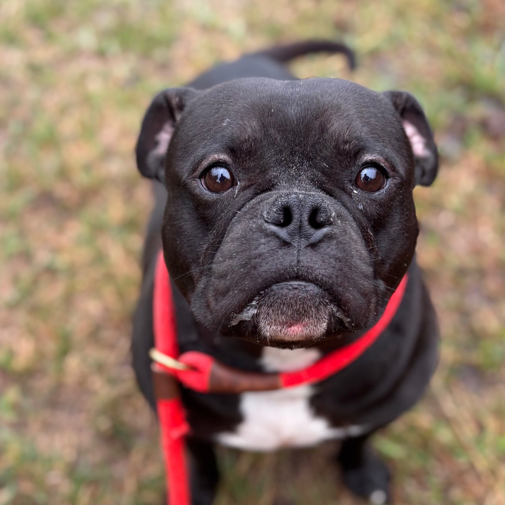 b91bef2add57e1b030ad60ac226b7f6a