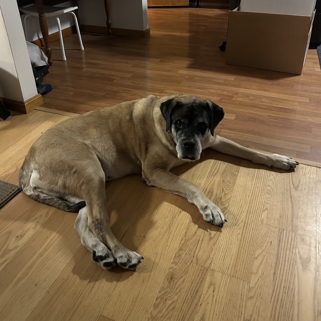 Ruby, photo 23