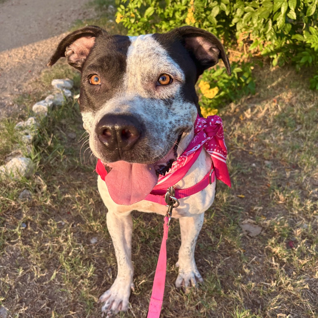 Peachy Keen — thumbnail 11