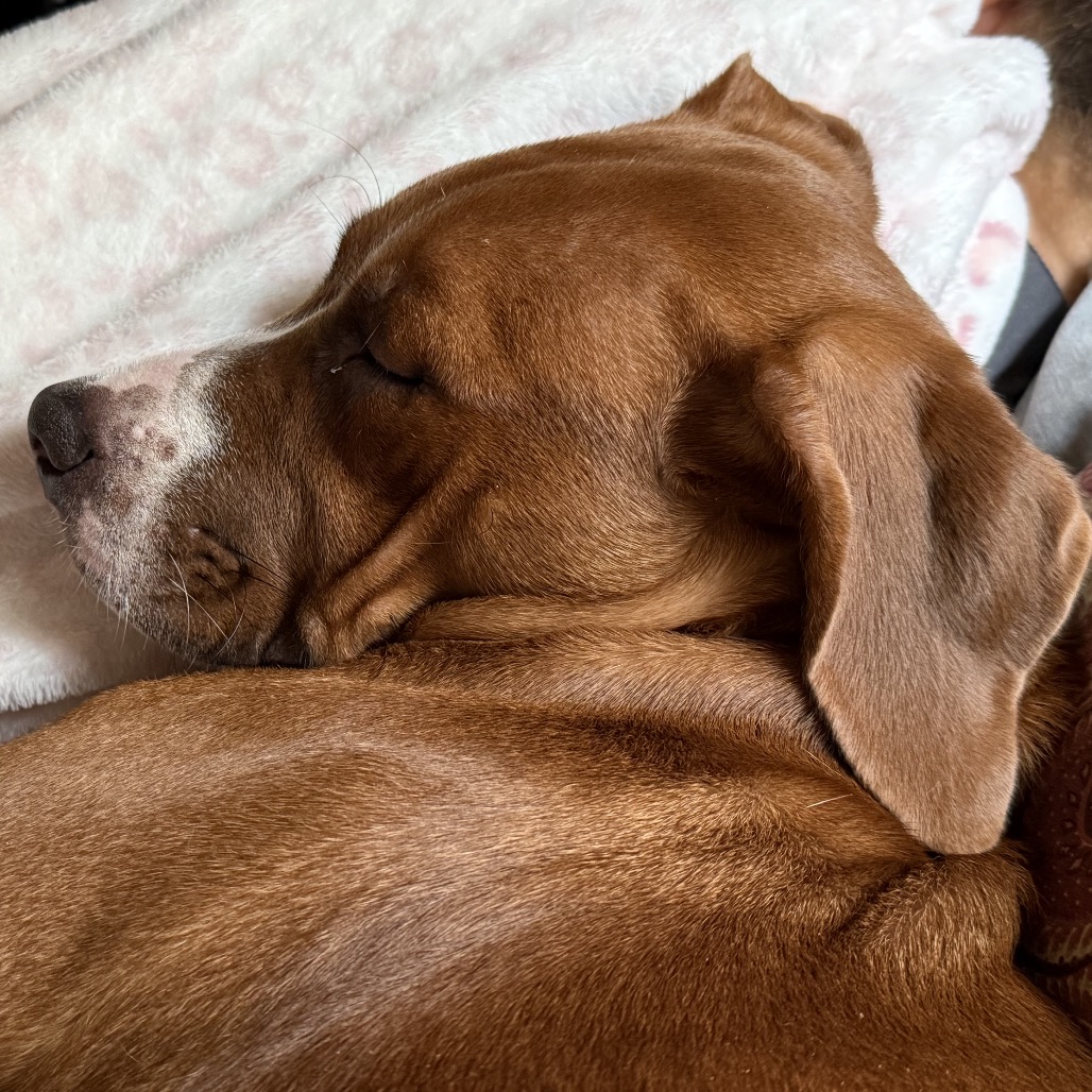 Lottie, photo 7
