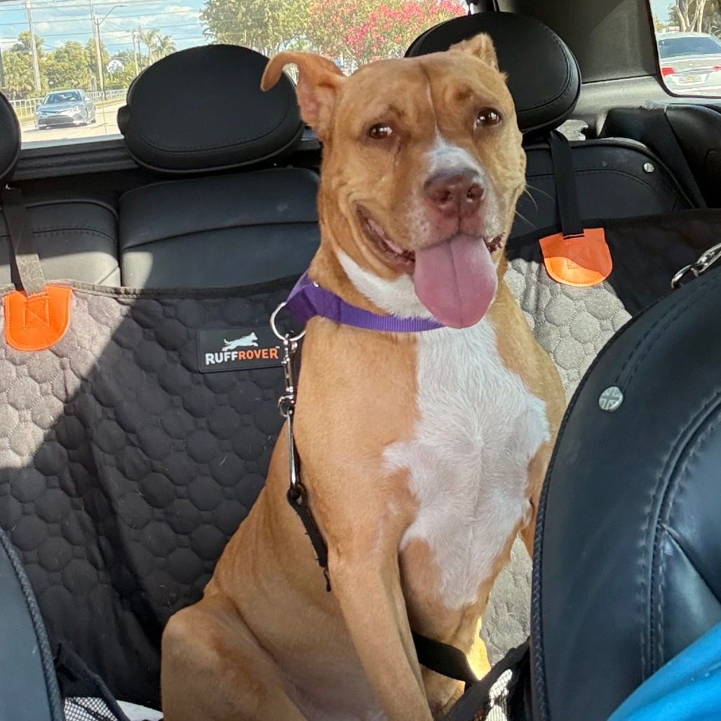 Princess Peanut Butter, photo 10
