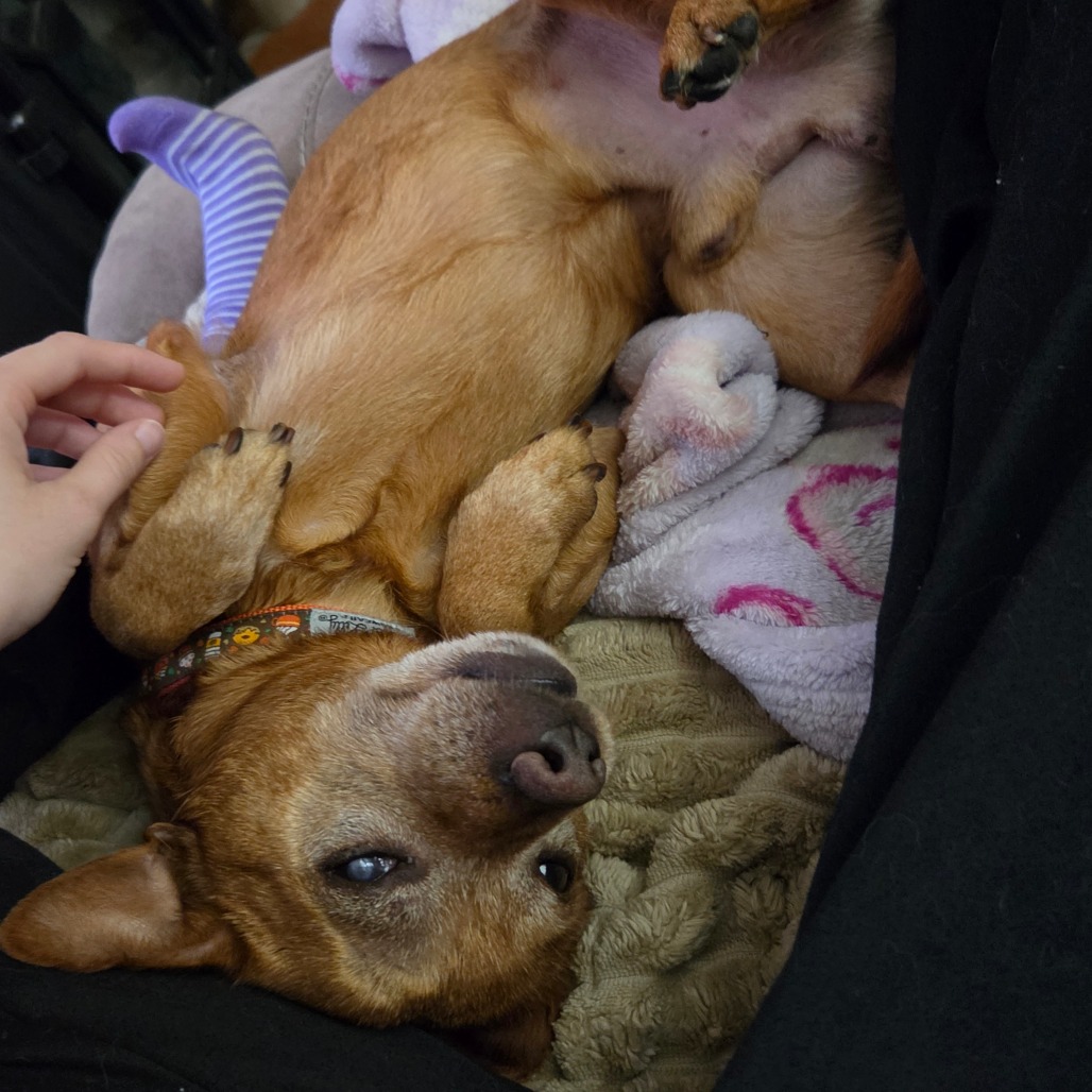 Frito, photo 15