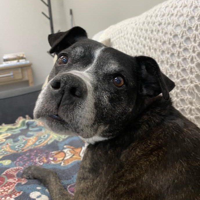 Cassie — thumbnail 4