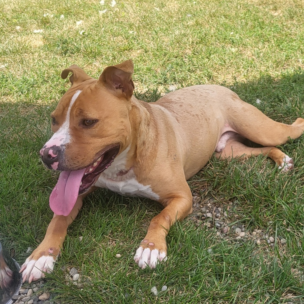 Milo