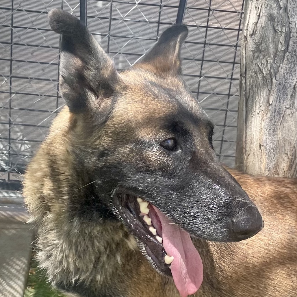 Venus, photo 4