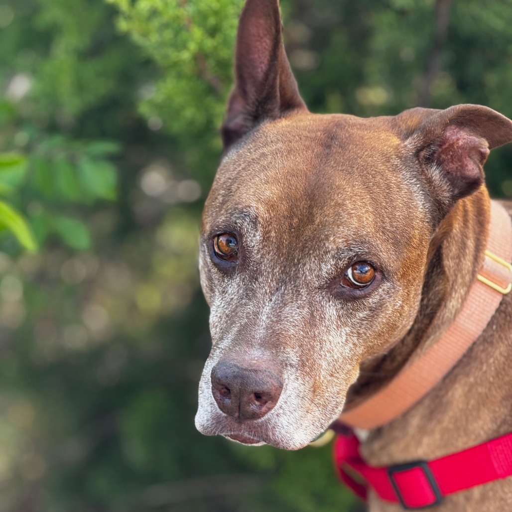 Melon Loaf — thumbnail 7