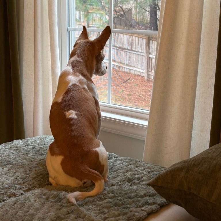 Gary — thumbnail 3