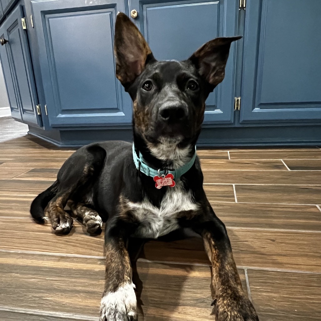 Buckee, photo 19