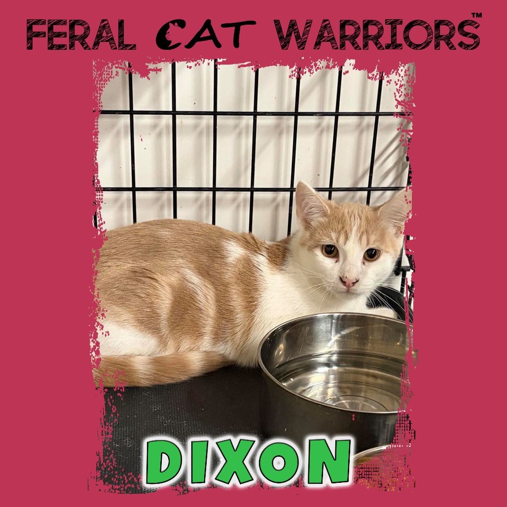 Dixon