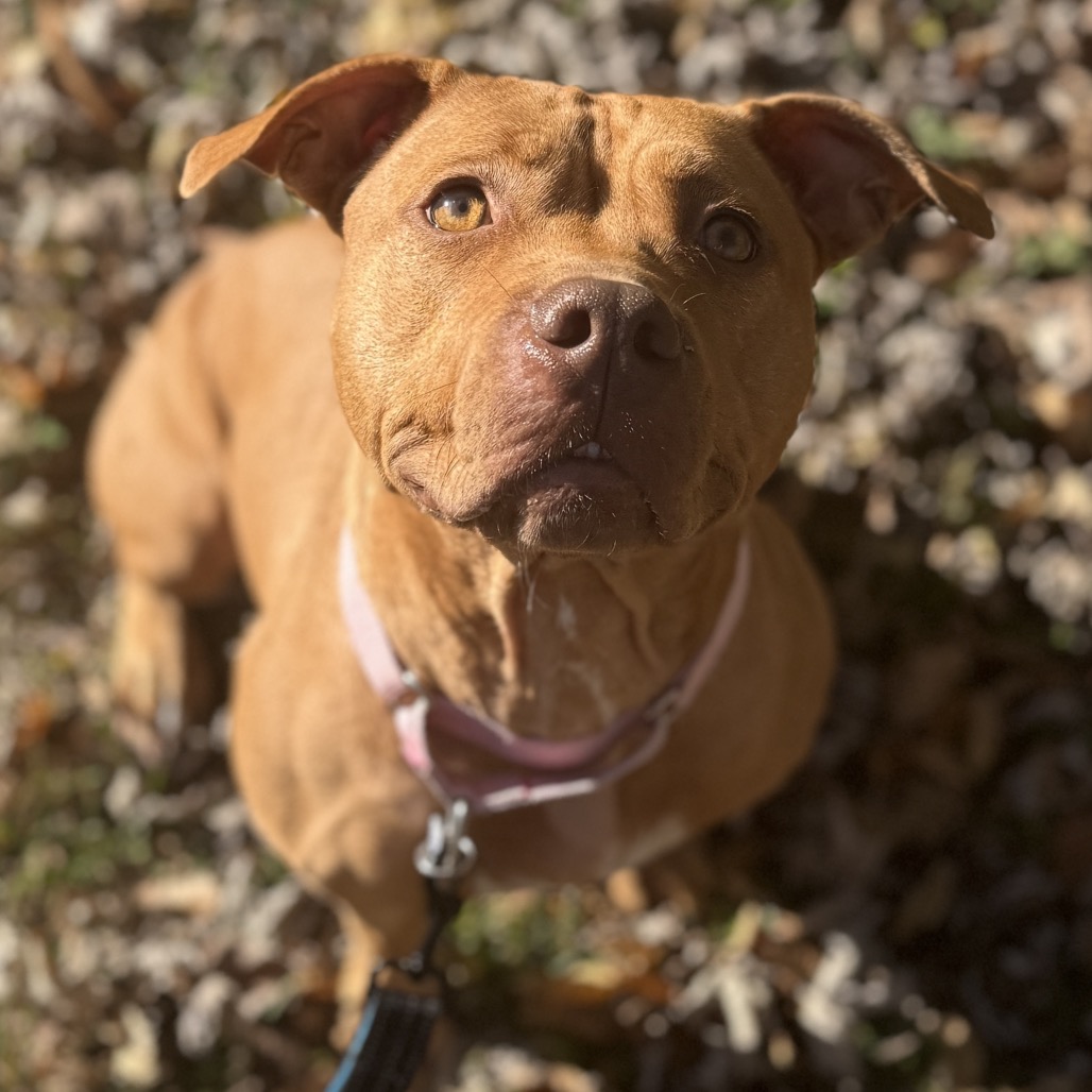 Valentina/Mom  photo