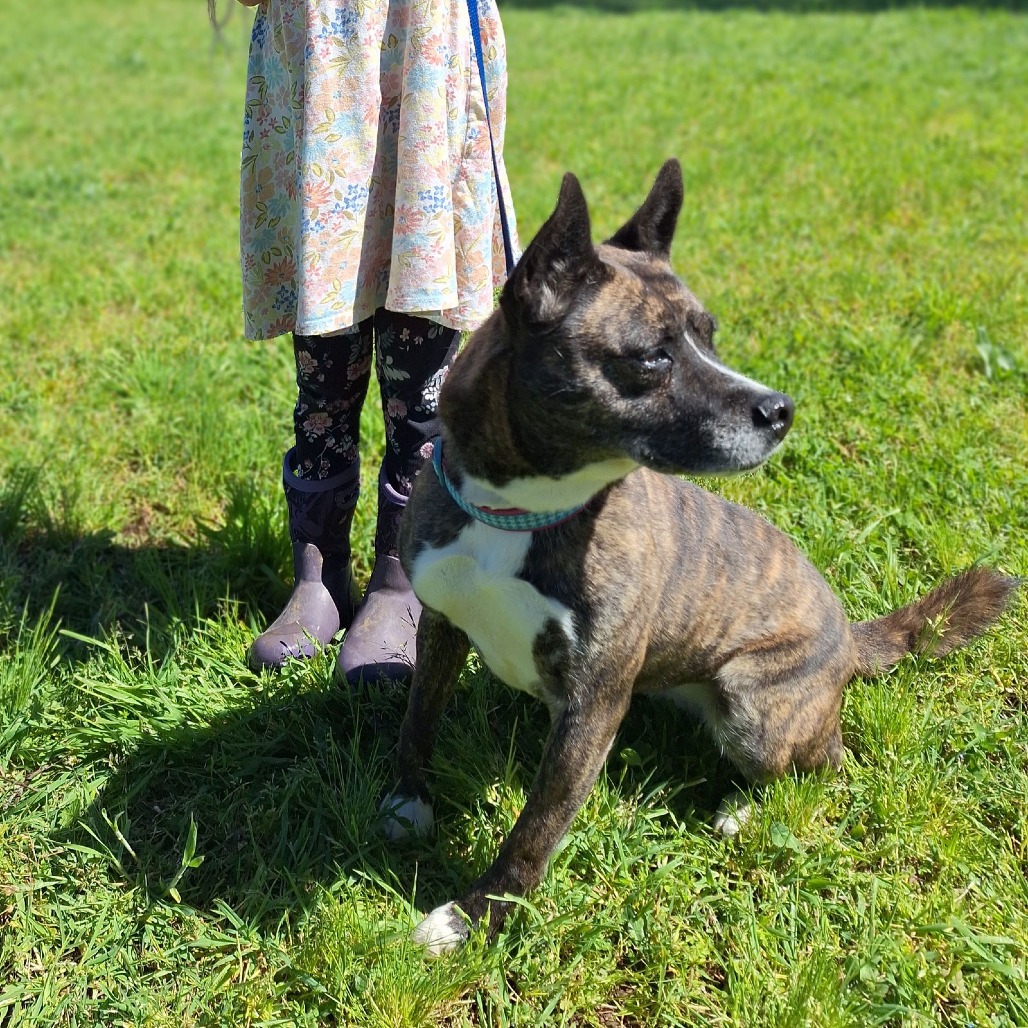 QUINCY — thumbnail 3