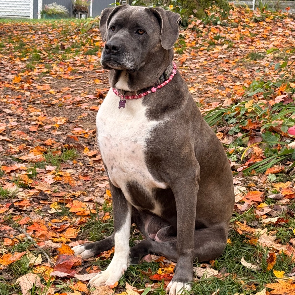 Big Luna, photo 26