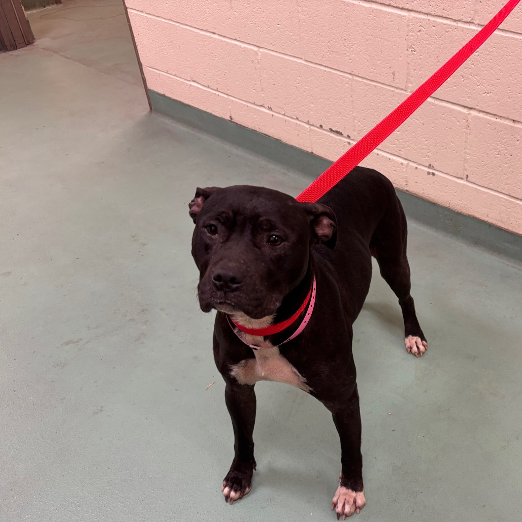 Sunny — thumbnail 12