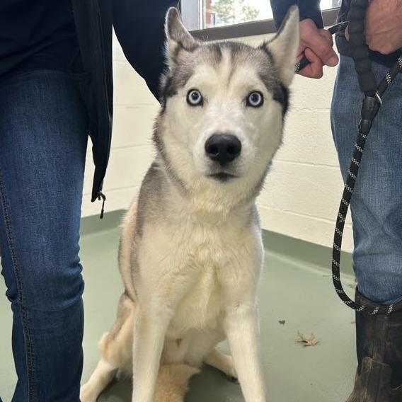 Luan — thumbnail 3