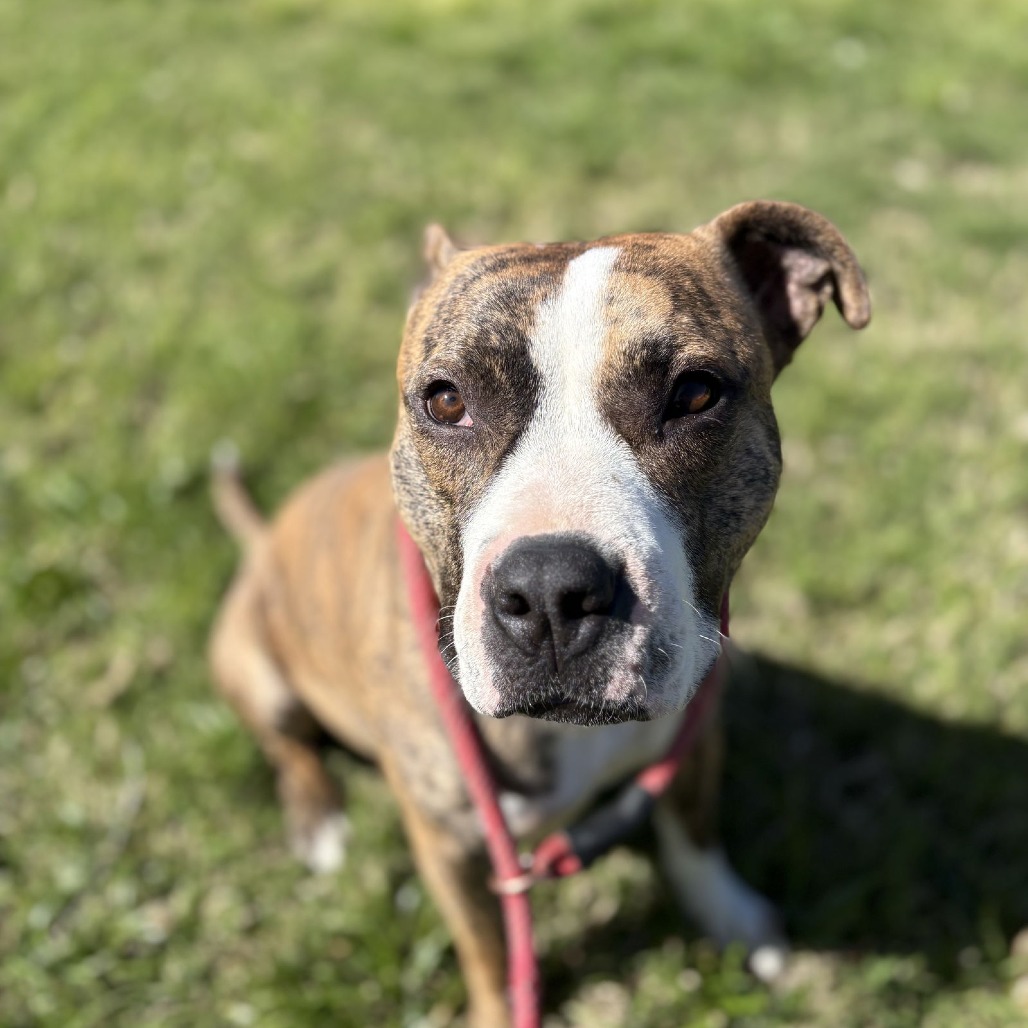 KATE — thumbnail 5