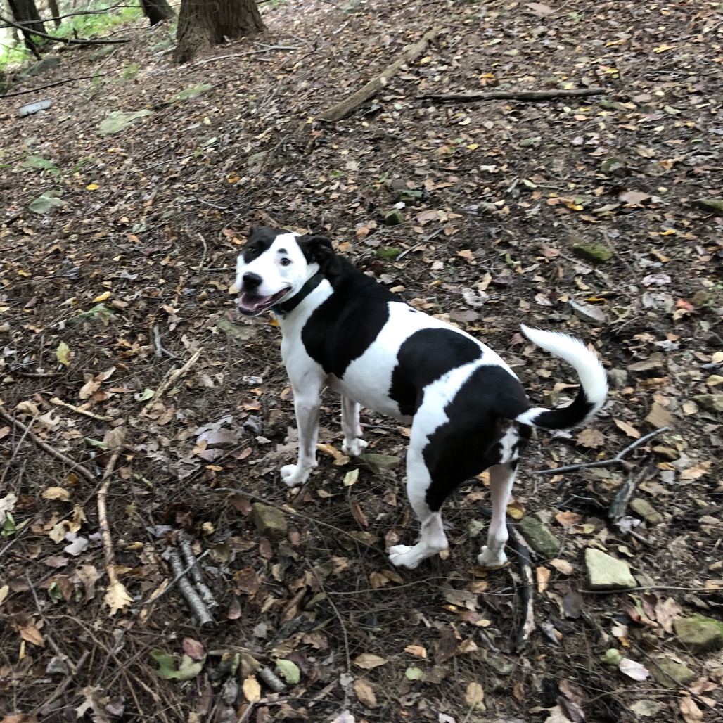 Photo of Lila