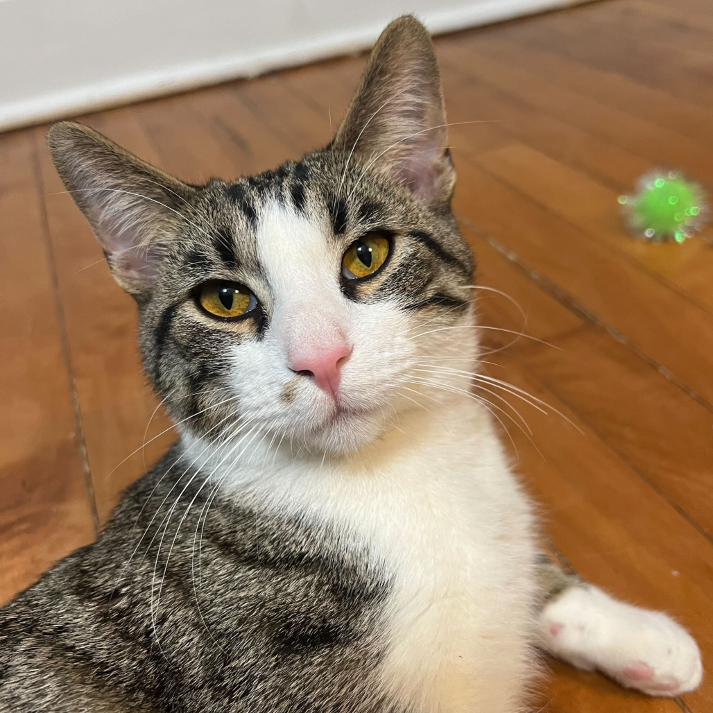 Burt (c2026), photo 2