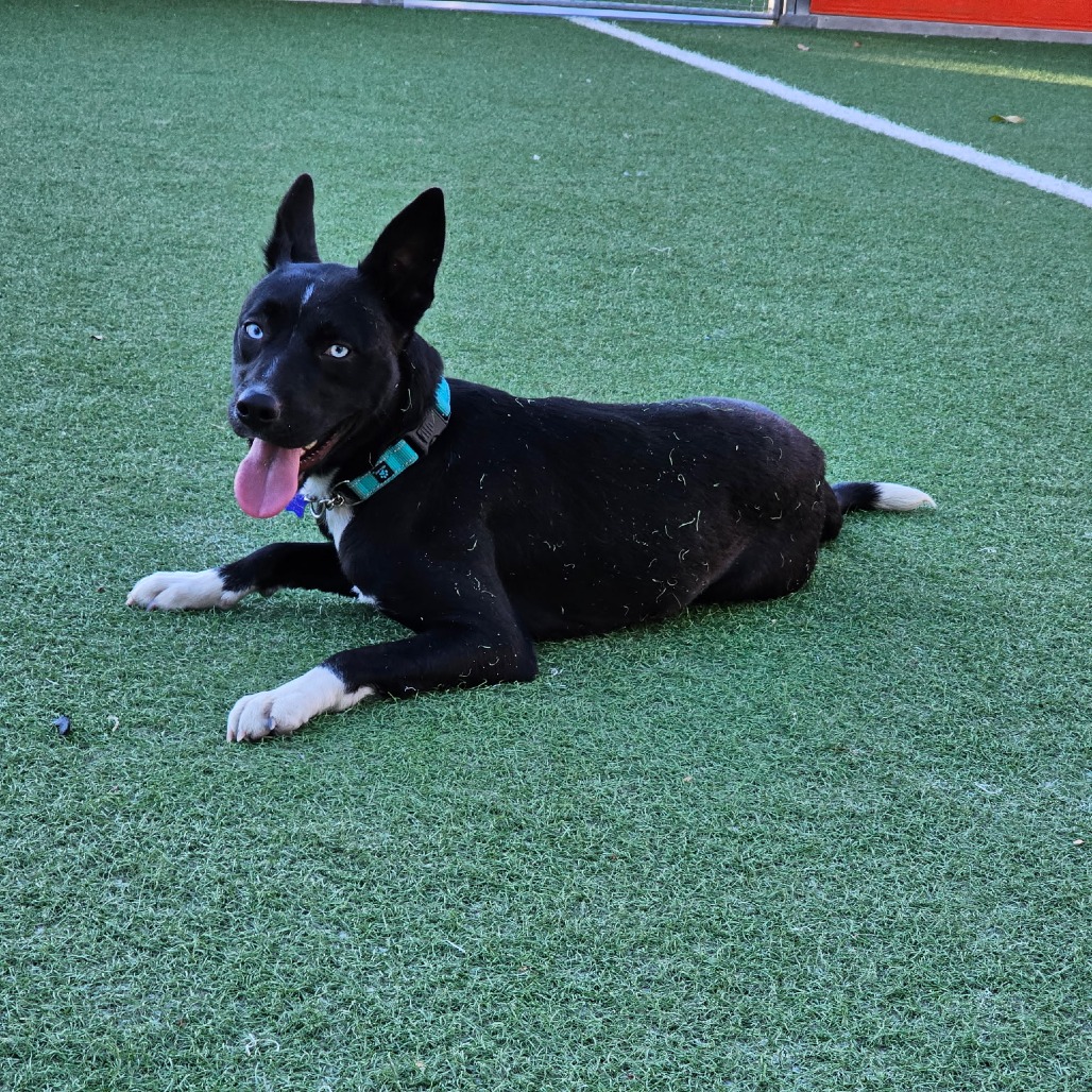 Egypt — thumbnail 5