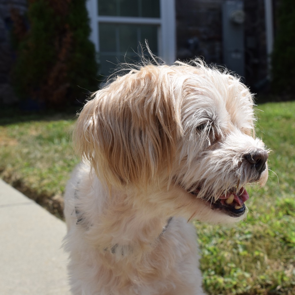 Crouton (Jelani), photo 7