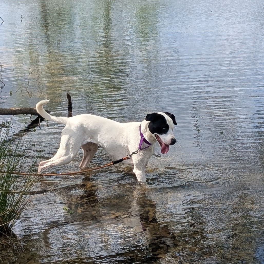 Trisha 06-1013, photo 12