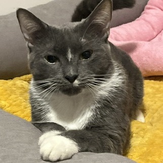 Helen