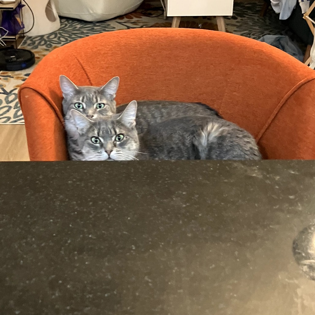 Darla, photo 10