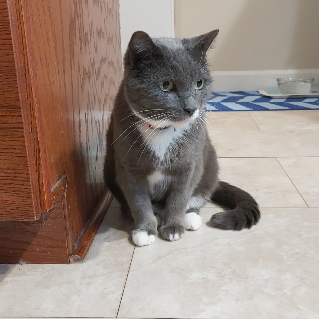 Applesauce, photo 29