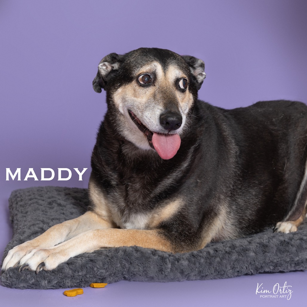 MADDY, photo 12