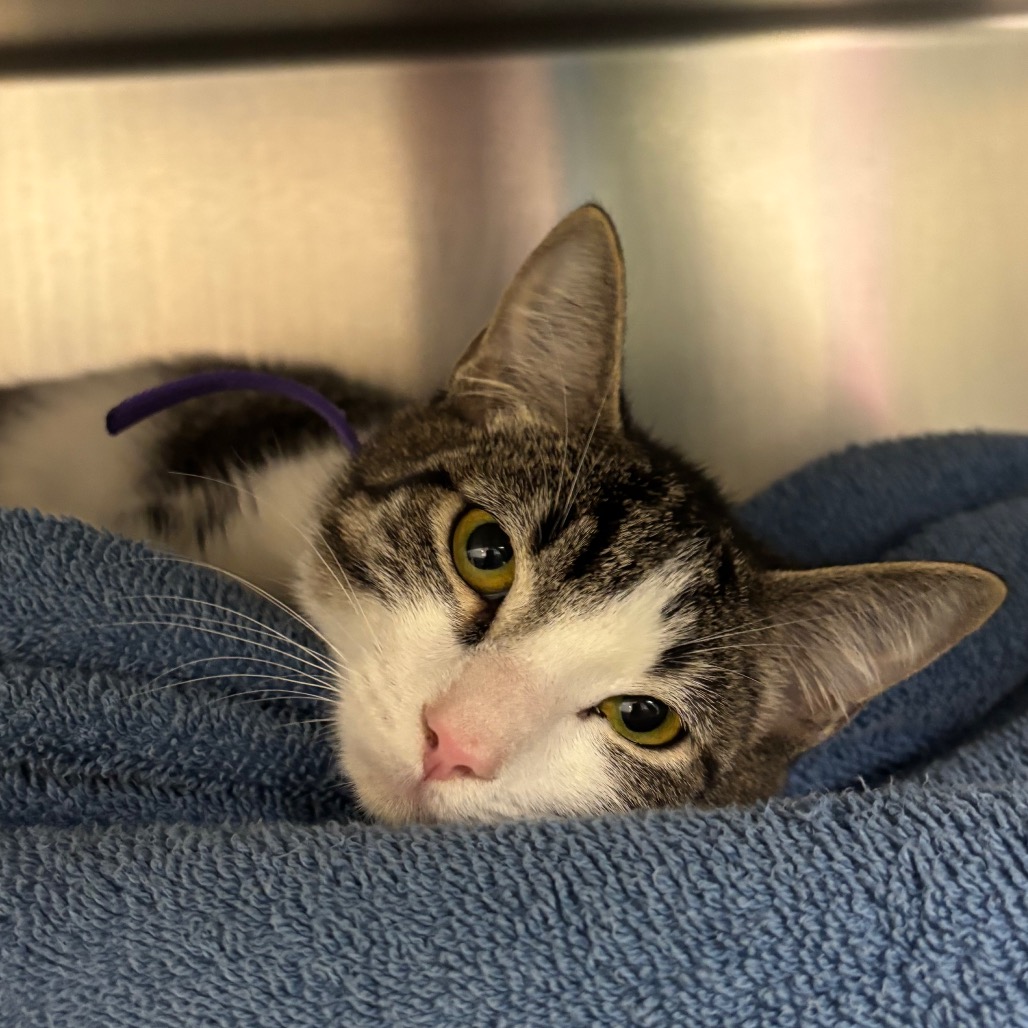 Noel-See my Video! — thumbnail 5