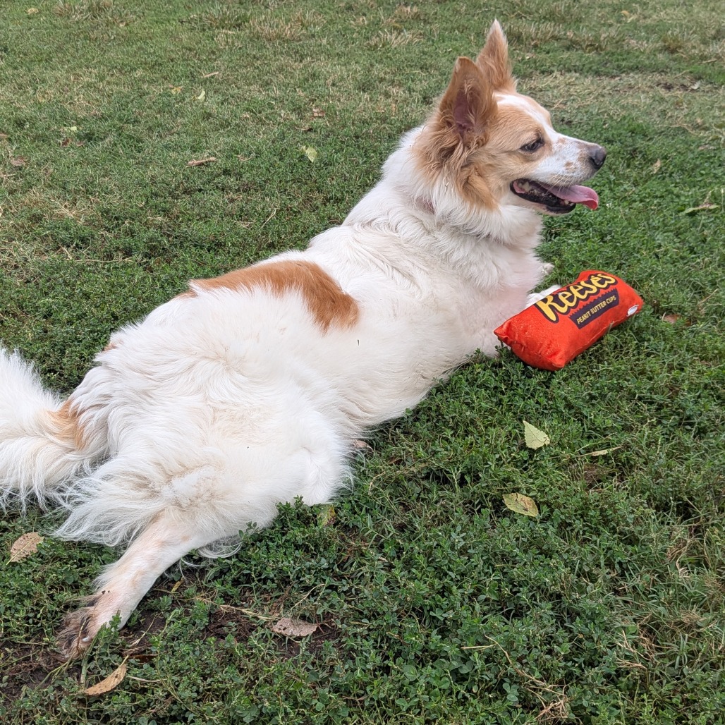 Sandy photo 6