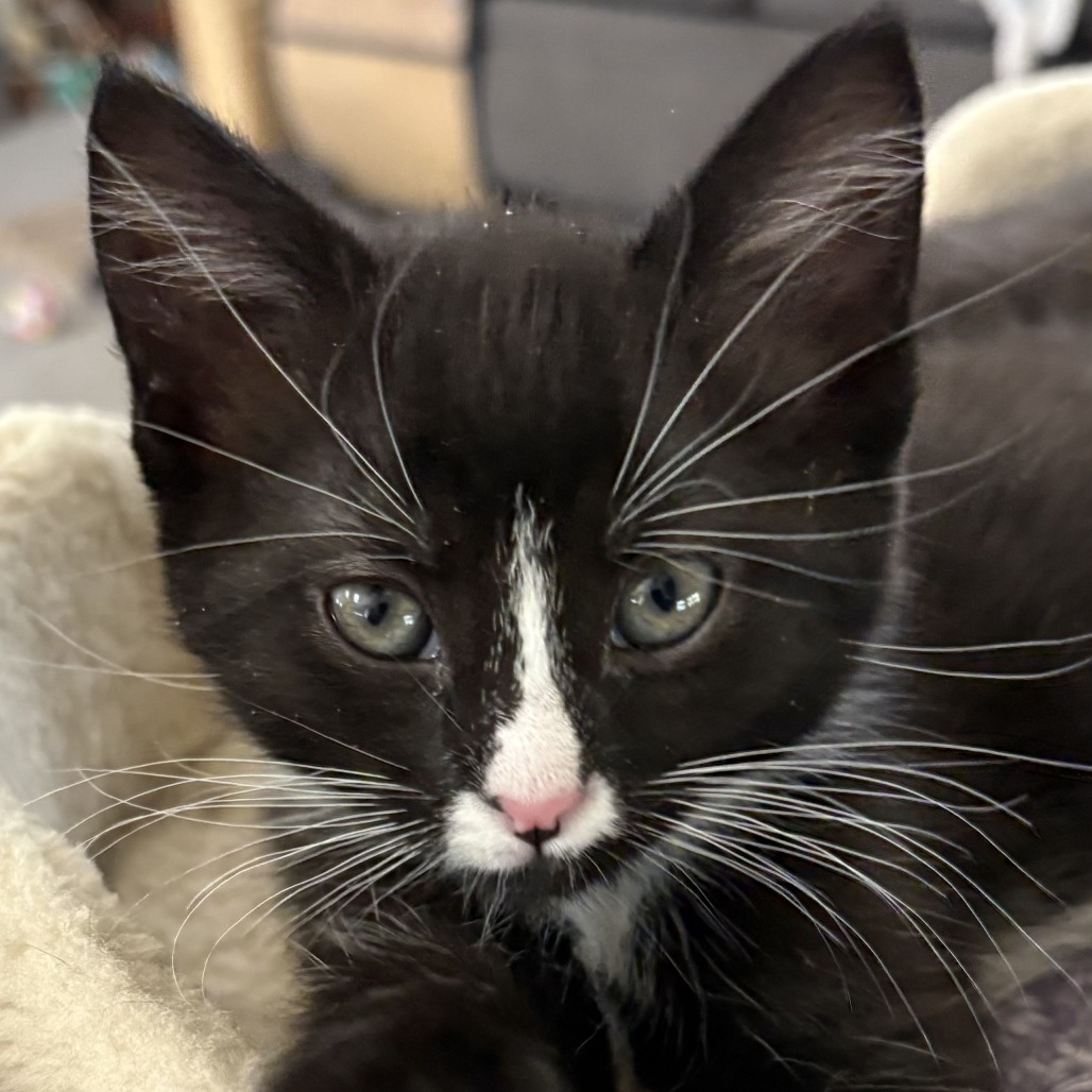 508a5c691c8238a066d52fb5d9997161