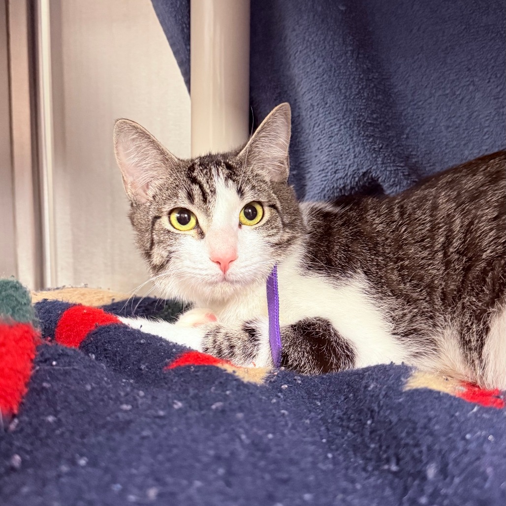 Noel-See my Video! — thumbnail 4