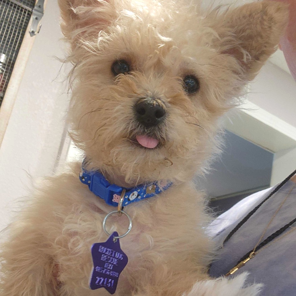 Kitty — thumbnail 2