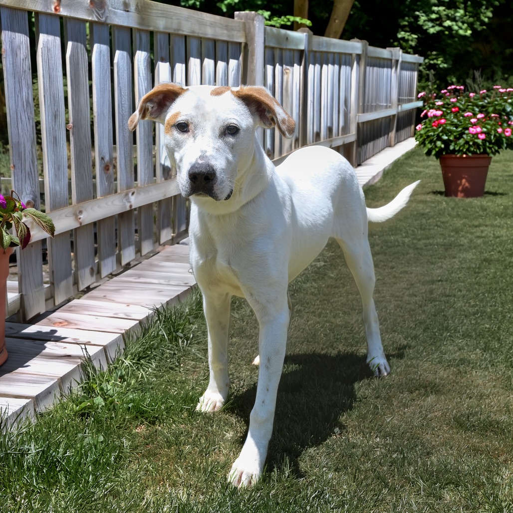 Photo of Laney