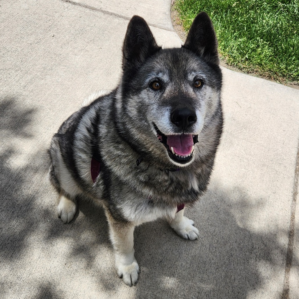 Riley, additional photo