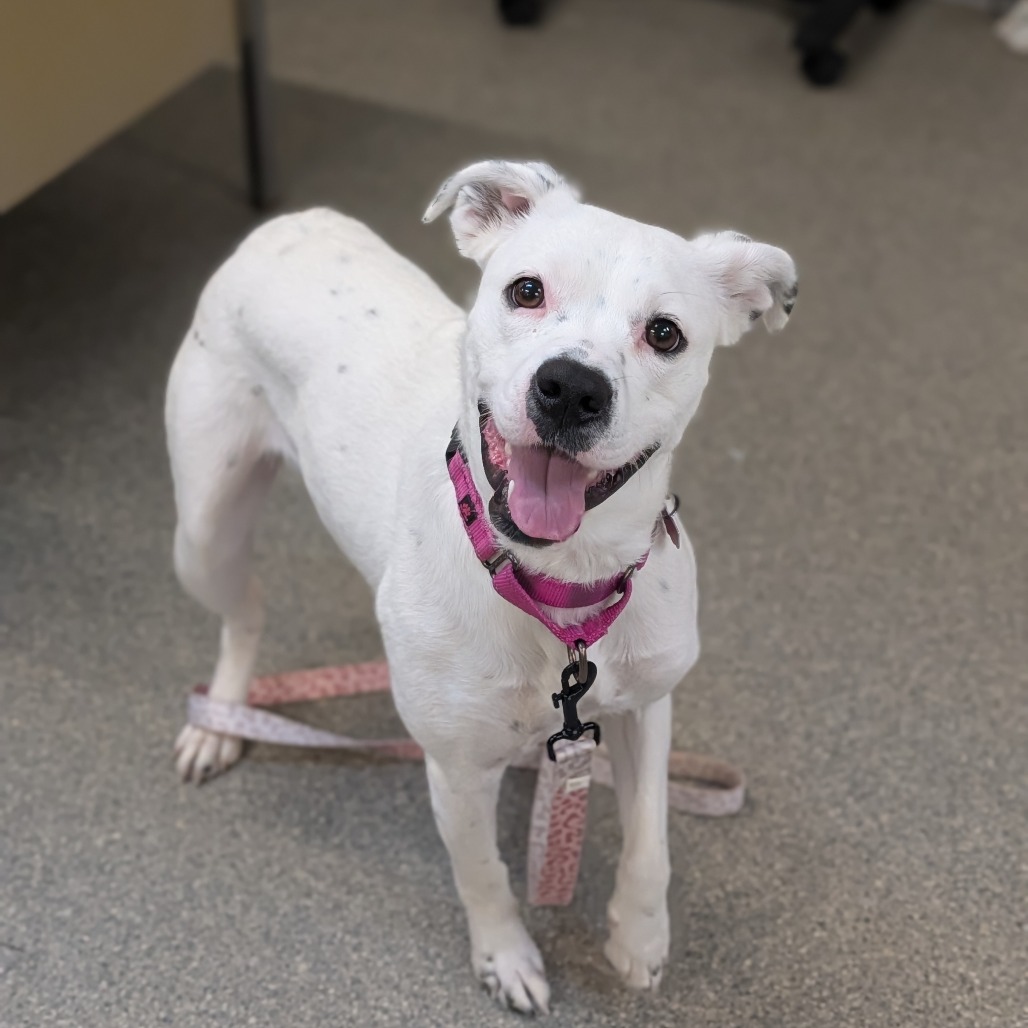 Crystal — thumbnail 2