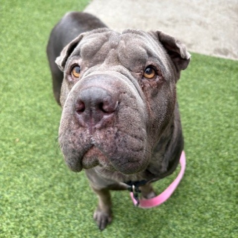 Photo of Gwendolyn  4